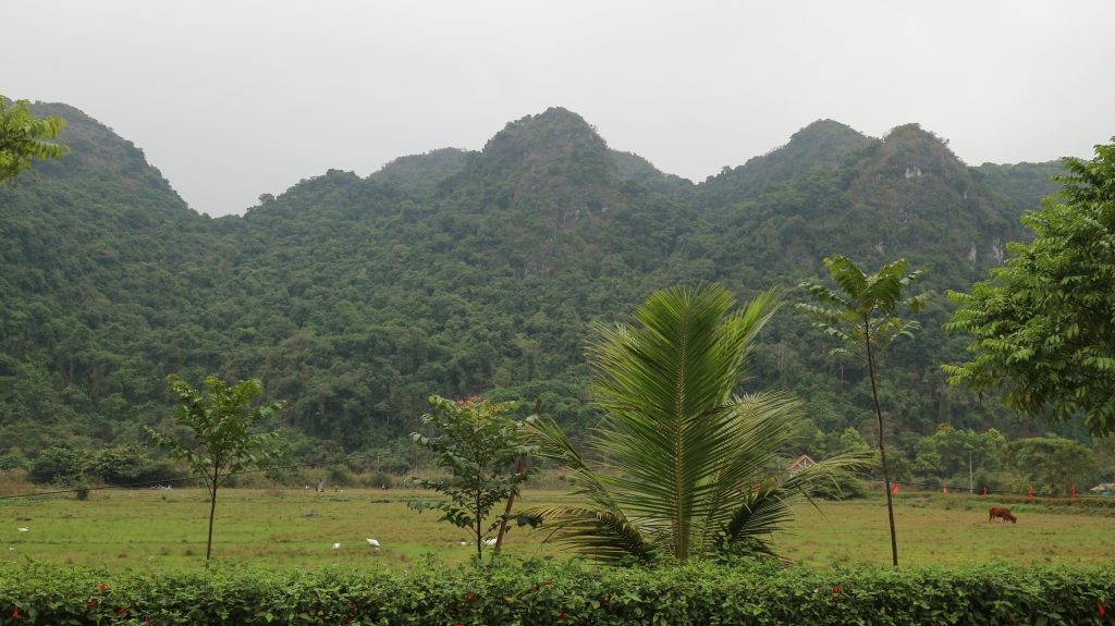 Cat Ba Island